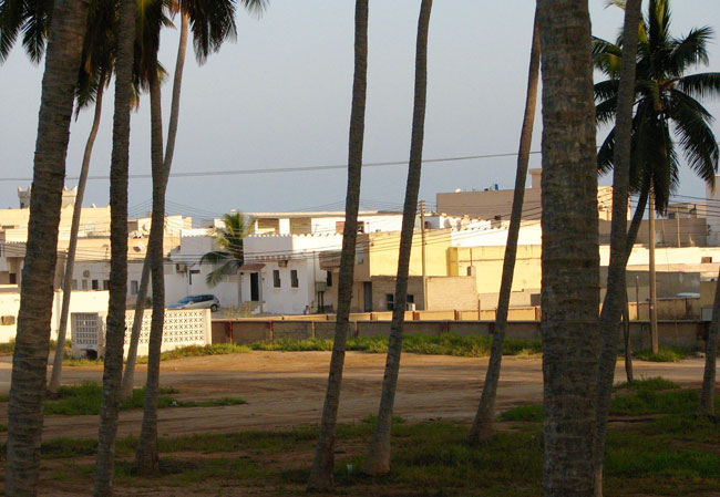 Sunset from the roof of the authors villa in Salalah. Photo by Chris Brauer