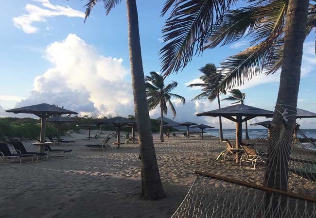 Nevis has many beautiful beaches, including this one at Nisbet Plantation Beach Club. Photo by Janna Graber