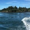 New Brunswick Bay of Fundy Pinterest