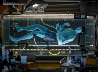 In Flight of Passage, guests connect with an avator and soar on a banshee over Pandora. Before the ride, guests peek inside a lab were an avatar is still in the growth state. Photo by Kent Phillips