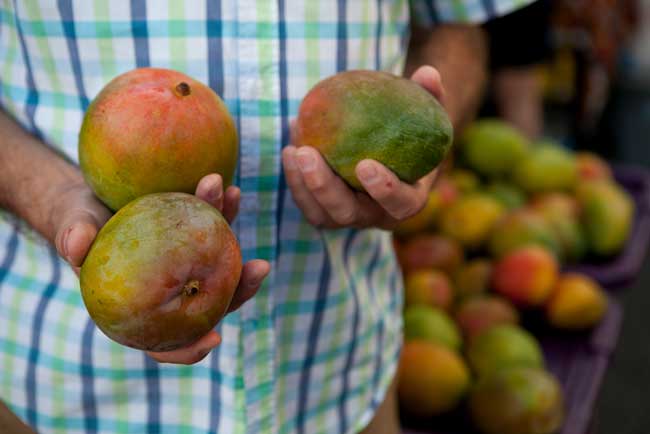 Shopping for mango at a local farmer's market in Oahu. Photo by Hawaii Tourism Authority