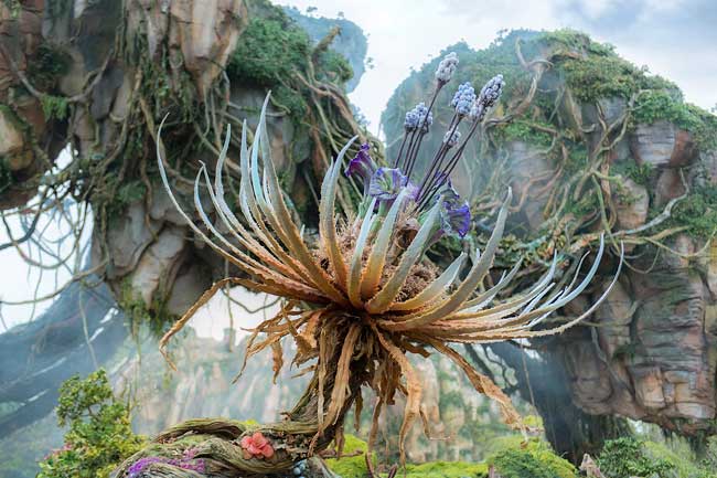 Pandora - The World of the Avatar is the newest addition to Disney's Animal Kingdom. Photo by David Roark