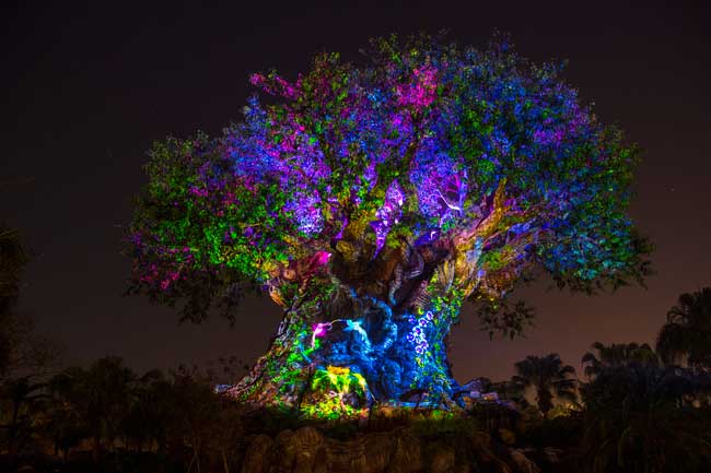 At night, the Tree of Life "awakens" to display colorful stories of animals and nature. Photo by David Roark