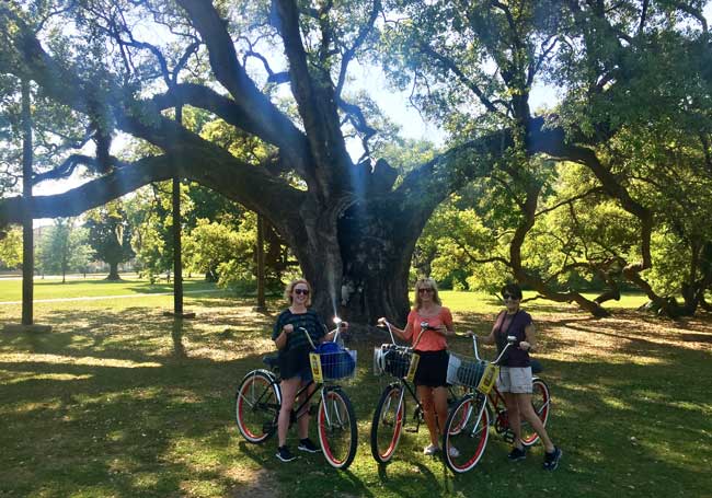 My friends and I take a three-hour bike tour of New Orleans. 