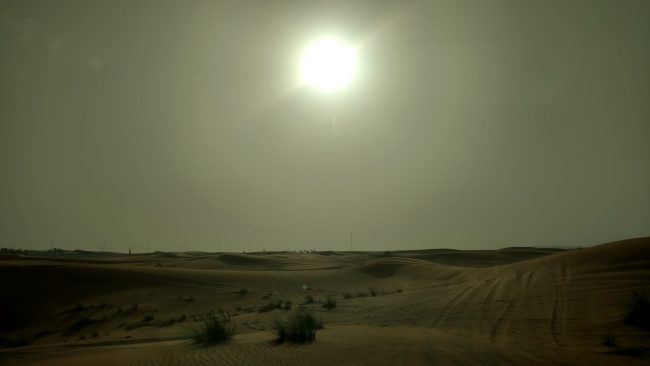 Dubai. In the desert. Photo by Eric D. Goodman