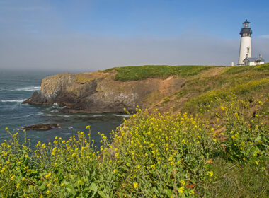 The Yaquina Head Lighthouse. Photo by Flickr/Ralph ArvesenThe Yaquina Head Lighthouse. Photo by Flickr/Ralph Arvesen