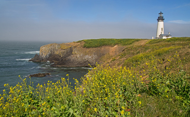 The Yaquina Head Lighthouse. Photo by Flickr/Ralph ArvesenThe Yaquina Head Lighthouse. Photo by Flickr/Ralph Arvesen