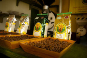 Coffee estate in Costa Rica