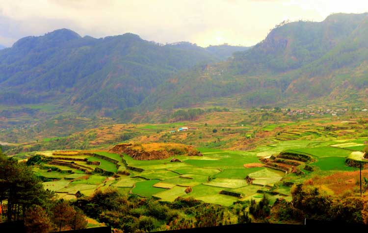 Rice terraces in Sagada, a mountain town in the Philippines. Flickr/Doods 