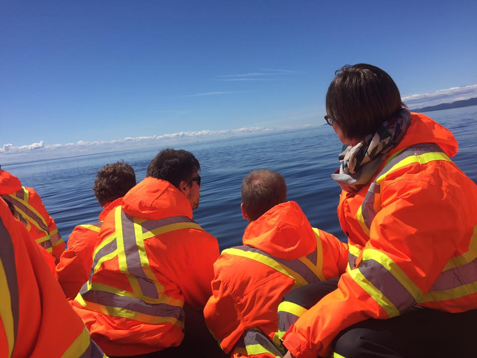 We saw pods of beluga whales and dozens of minke. Photo by Janna Graber