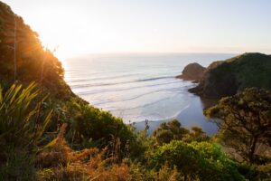 Top 6 Routes for an Epic New Zealand Road Trip