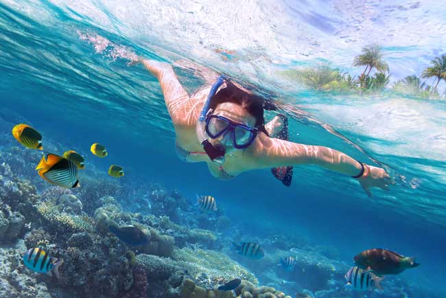 Tenerife is one of the top island destinations in the Canary Islands