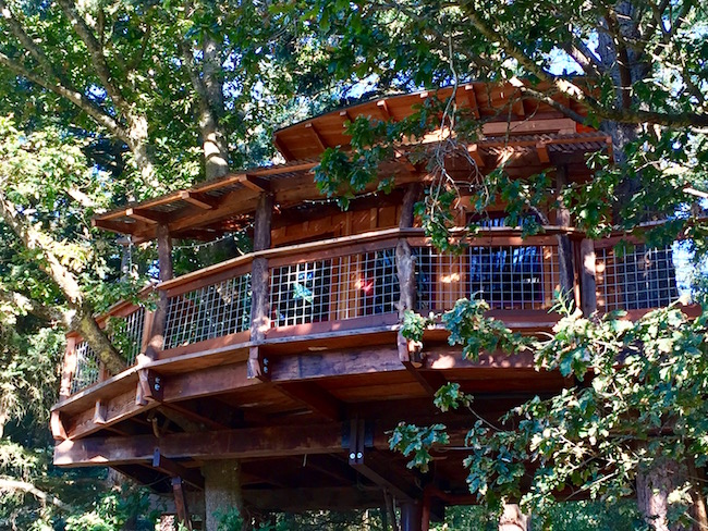 Porch of the treehouse. Photo by Claudia Carbone