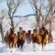 Horses gallop through winter snow in Colorado.
