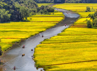 Travel in Vietnam. Rowing through the rice fields of Tam Cốc. Flickr/Tuấn Mai