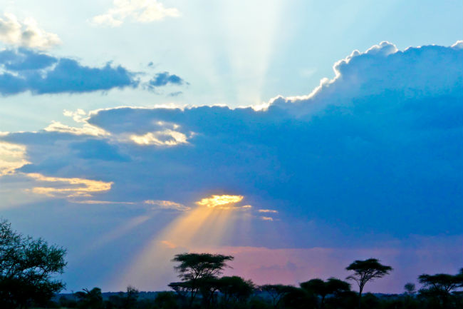 A sunset in the Serengeti. Photo by Christine Loomis