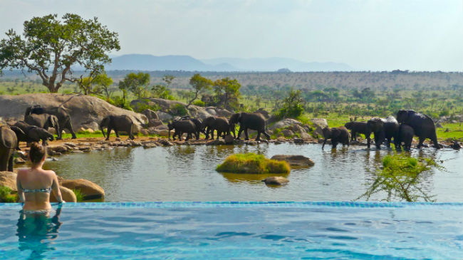 Serengeti Wild meets style in Serengeti National Park. Photo by Christine Loomis 