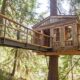 Treehouse Point near Seattle, WA. Photo by Treehouse Point