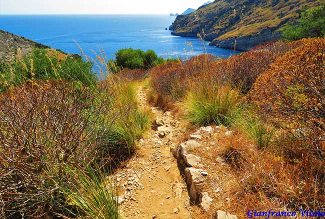 Walking the trail to Bay of Ieranto (Baia di Ieranto). Flickr/Gianfranco Vitolo