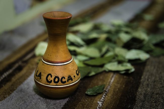 Coca leaves. Photo by Flickr/Anthony Tong Lee