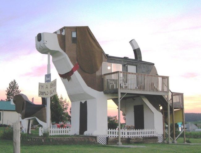 There are plenty of unusual places to stay around the world. Photo by Dog Park Bark Inn