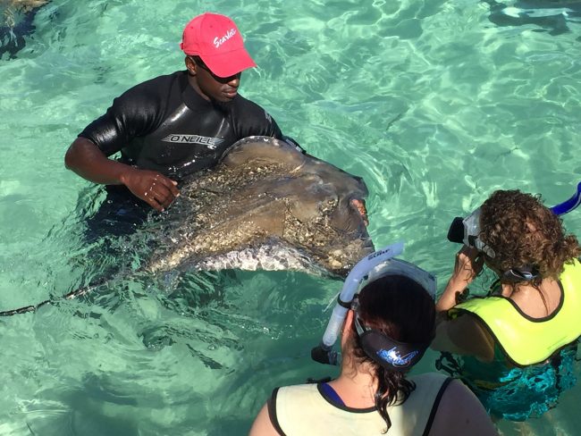 An educational experience with a stingray. Photo by Rich Grant