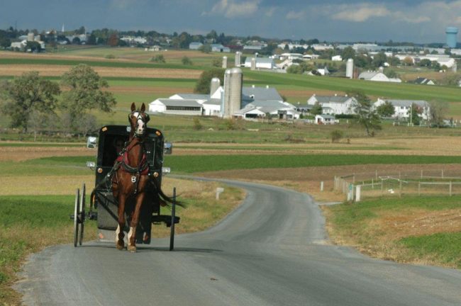 An Amish buggy ride in Intercourse. Photo by Brian Evans