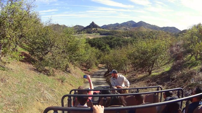 Malibu Wine Safari