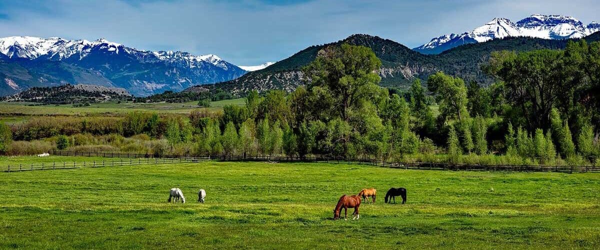 Solo travel at a dude ranch in Colorado