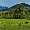 Solo travel at a dude ranch in Colorado