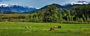 Solo travel at a dude ranch in Colorado
