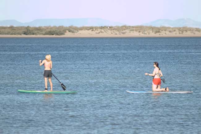 Stand up paddle boarding with Harker Board Co. in La Paz. Photo by Ivan Félix