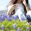 Experience the bluebonnets of Texas