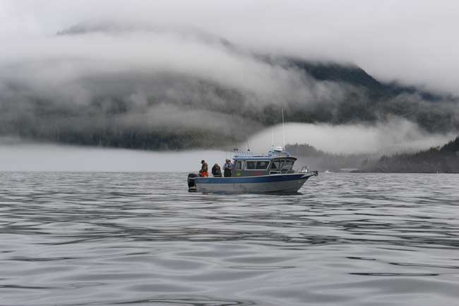 A thick fog covered the water and hills surrounding the bay. Photo by Janna Graber