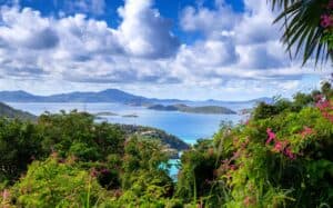 Looking out at Cinnamon Bay in the U.S. Virgin Islands
