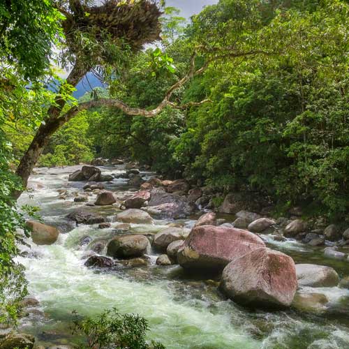 Mossman Gorge in Port Douglas, Queensland. Photo by Tim Downs