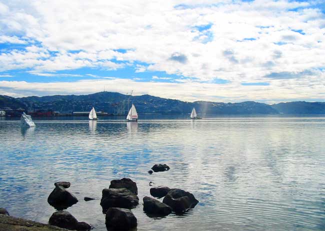 Oriental Bay in Wellington, New Zealand
