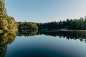 San Juan Island, Washington, USA. Photo by Vincent Etter, Unsplash