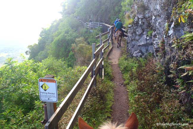 Heading down the trail with Molakai Mule Ride. Flickr/Cameron Wears