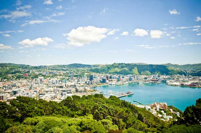 The view from Mount Victoria in Wellington, New Zealand. Photo by Capture Studios