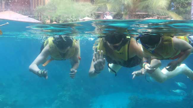 Snorkelers wave to spectators from the window to the Rainbow Reef marine sanctuary at Aulani: A Disney Resort and Spa - Knox Nehdar, Caitlyn Kelly and Kaleb Nehdar