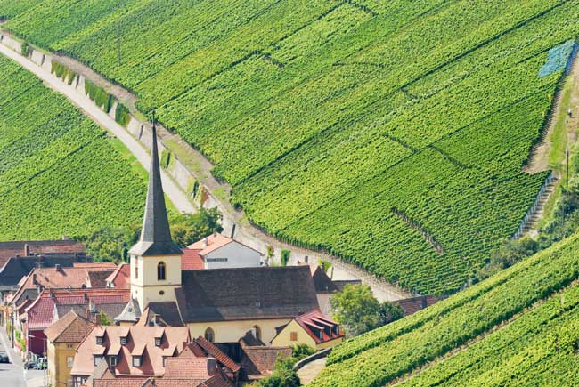 Traveling in Franconian Wine Country. Photo by FrankenTourismus/FWL/Hub