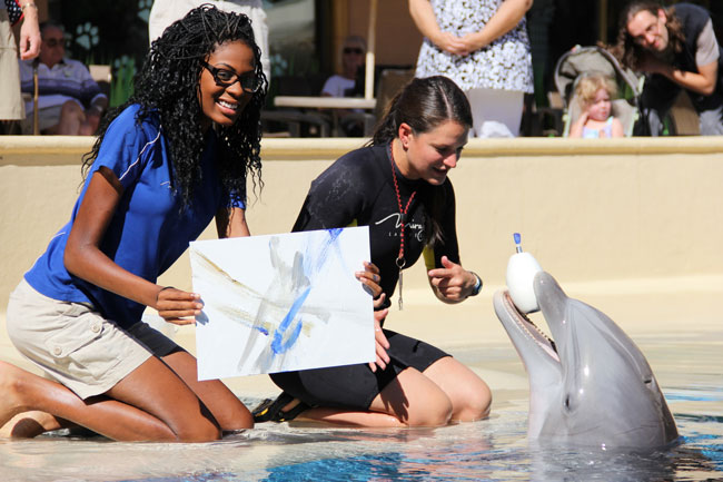 Mirage Dolphin Habitat and Zoo. Photo by MGM Resorts International