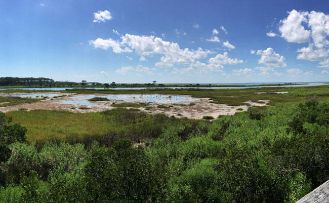 Camping at Assateague Island National Seashore. 