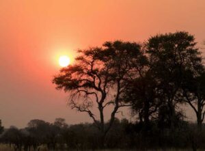 How Not to Look Like a Tourist When Traveling in Africa