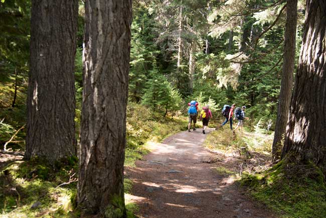 Hiking in Golden, BC. Photo by Agathe Bernard