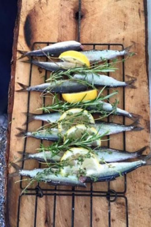 Grilling Moikku