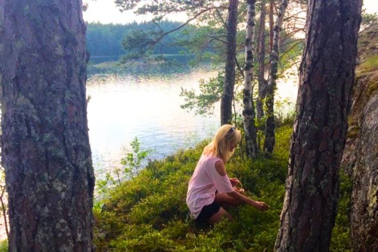 The author hunting for blueberries on one of the 14,000 islands in Lake Saimaa, Finland