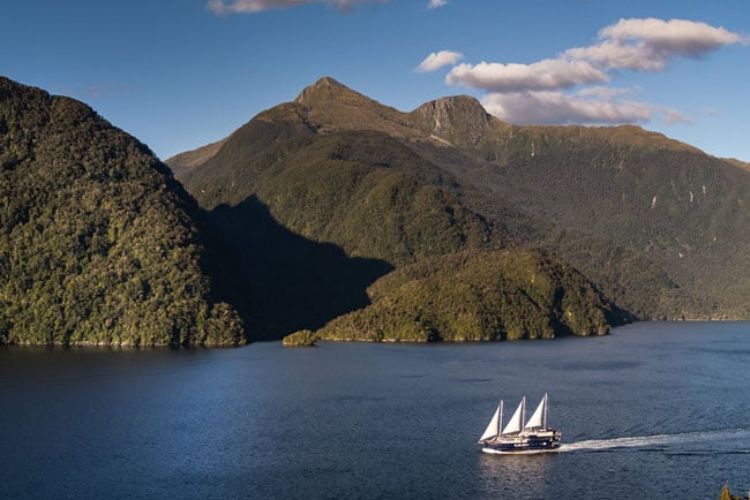 A perfect day on Doubtful Sound