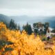 Best places to see the fall colors